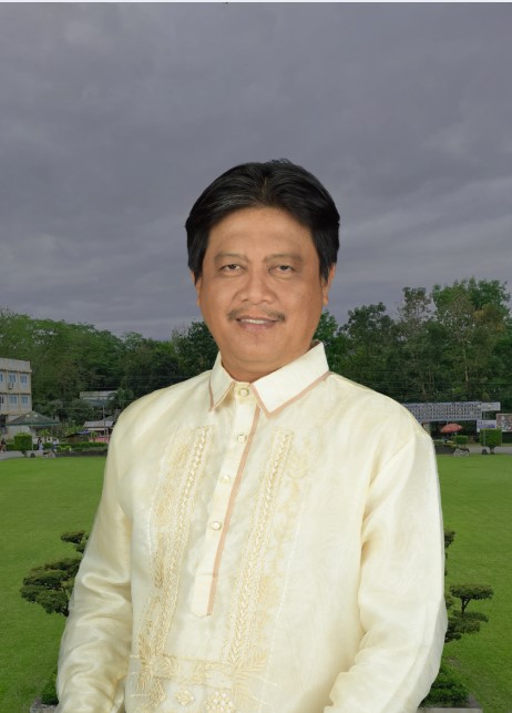 ENGR. ARVIN P. TOLENTINO